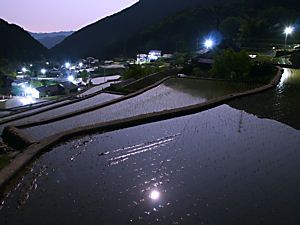 岩座神の棚田の月明かり夜景