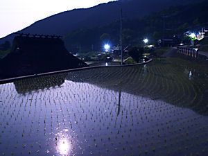 岩座神の棚田の月明かり夜景