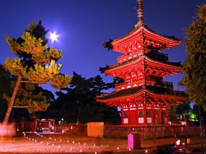 鶴林寺・三重塔の月夜の夜景