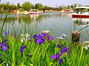 お花畑と四季の花/花の島淡路島 明石海峡公園