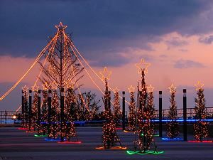 巨大なクリスマスツリーとクリスマスイルミネーション