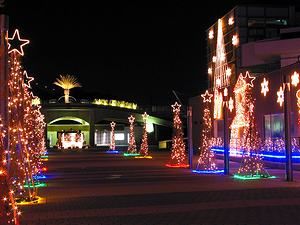 明石海峡公園のクリスマスイルミネーションと夜景