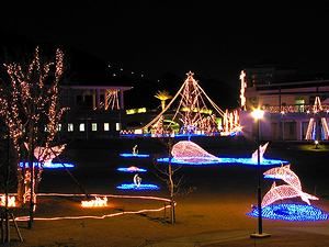 明石海峡公園のクリスマスイルミネーションと夜景