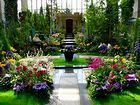 温室の植物と花・熱帯植物の花/夢舞台温室・奇跡の星植物館/植物と花の壁紙