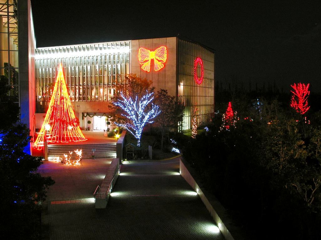 クリスマスイルミネーションと夜景 ライトアップ 奇跡の星の植物館 壁紙写真集 無料写真素材