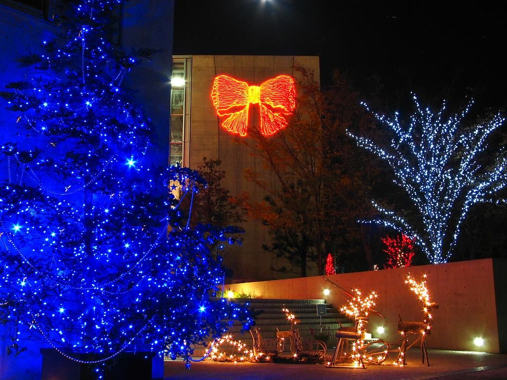 クリスマスイルミネーションと夜景 ライトアップ 奇跡の星の植物館 壁紙写真集 無料写真素材