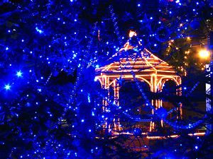 夢舞台・奇跡の星の植物館のクリスマスイルミネーション