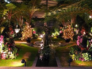 熱帯植物庭園/トロピカルガーデンのライトアップ