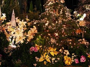 夢舞台温室奇跡の星植物館クリスマスイルミネーション