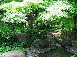 新緑に包まれる日本庭園・近松公園