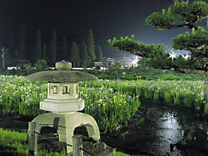 永沢寺花しょうぶ園ライトアップ夜景