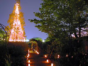 宝塚ガーデンフィールズ・シーズンズのライトアップ夜景
