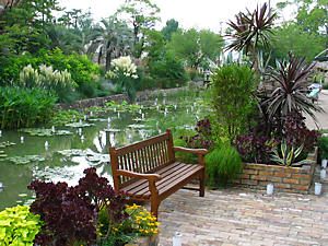 水辺の植物・水生植物エリアと欧風庭園