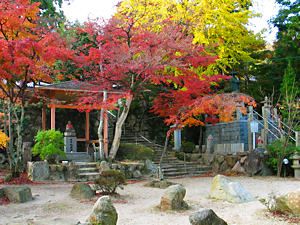 六甲山鷲林寺の紅葉