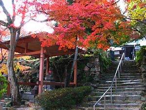 六甲山鷲林寺の紅葉