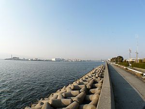 武庫川の河口・対岸は鳴尾浜