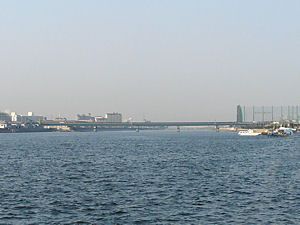 武庫川最下流に架かる阪神高速湾岸線の橋