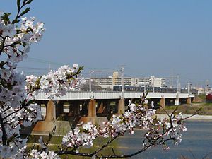 西宮・兵庫ふるさと桜づつみ回廊とJR東海道線