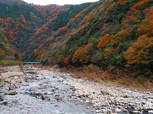 武庫川渓谷と山々の紅葉