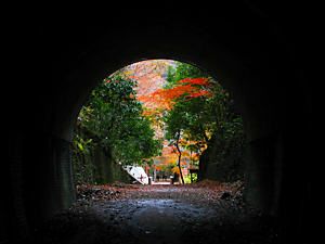 旧国鉄福知山線・武庫川廃線跡のトンネルと紅葉