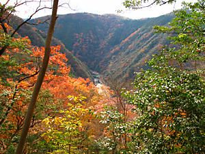 大峰山登山道から見下ろす武庫川渓谷