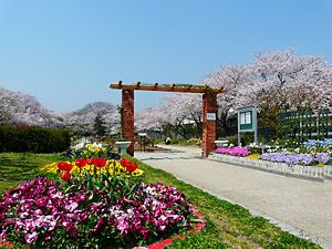 日本初の貸花壇・西武庫公園の分区園