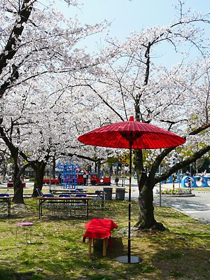 桜の木の下での花見