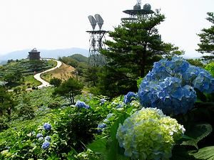 大野山の山頂から見下ろす猪名川天文台 Astropia