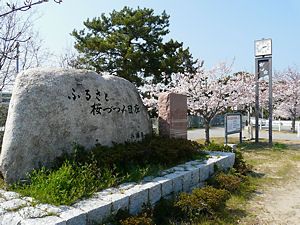兵庫県ふるさと桜づつみ回廊