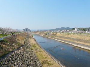 三田市を流れる武庫川と兵庫県ふるさと桜づつみ回廊