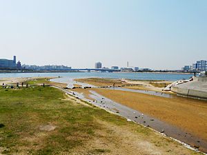 夙川の河口と西宮浜・阪神高速湾岸線