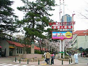 宝塚花の道の桜並木と宝塚ファミリーランド