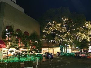 宝塚ホテルの夜景とイルミネーション