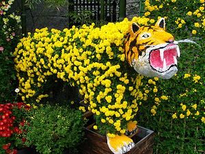 阪神タイガース・虎の菊人形
