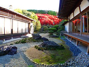永昌寺(永昌禅寺)の日本庭園とドウダンツツジの紅葉