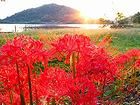 平荘湖と四季の風景・湖と季節の花、湖の夕日夕焼け