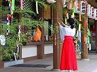 日岡神社の夏祭り、夏越祭・水無月の夏越祭と茅の輪くぐり