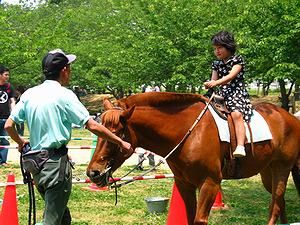 明石乗馬協会の乗馬体験