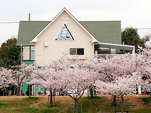 明石乗馬協会と桜並木