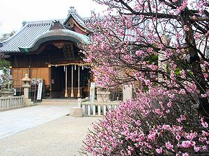 八房梅と柿ノ本神社拝殿
