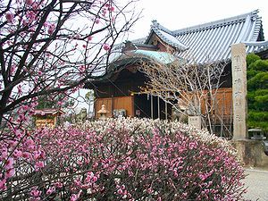 八房梅と柿ノ本神社拝殿