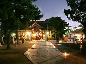 高砂神社の拝殿・本殿のライトアップ夜景