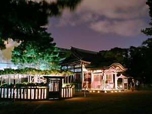 高砂神社の相生松のライトアップ夜景