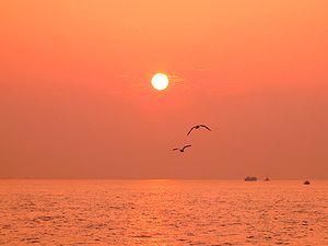 大蔵海岸の夕日、夕焼けとカモメ