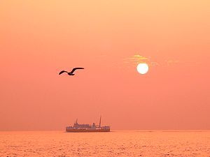 大蔵海岸の夕日、夕焼けとカモメ、たこフェリー