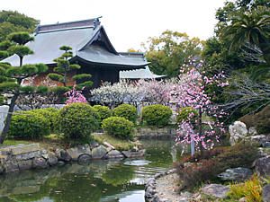 曽根天満宮の日本庭園と梅林