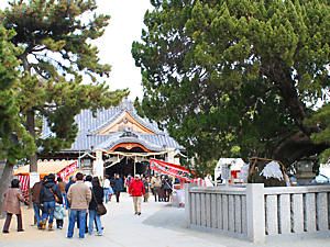高砂神社の境内と御神木