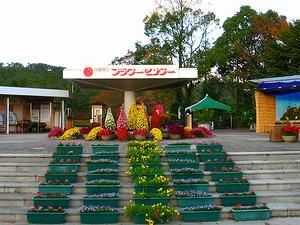兵庫県立フラワーセンターメインゲートと菊の花壇