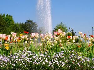 花の広場・噴水庭園とチューリップの花壇