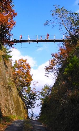 古法華自然公園・笠松山のハイキングコースに架かるつり橋